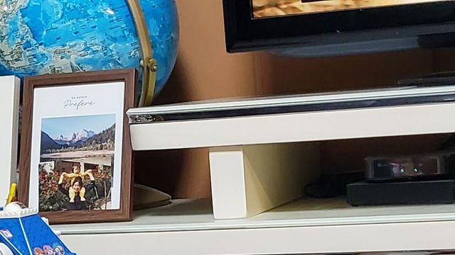 새끼 고양이….