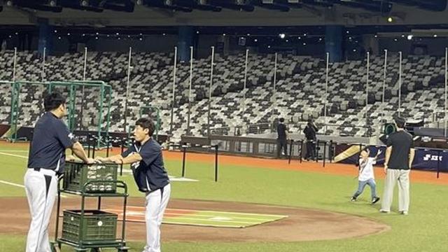 대만야구협회 직원 딸 훈련장 활보…프리미어12 기자회견 '엉망'