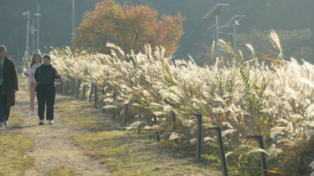 [내일 날씨] 전국 구름 가득… 