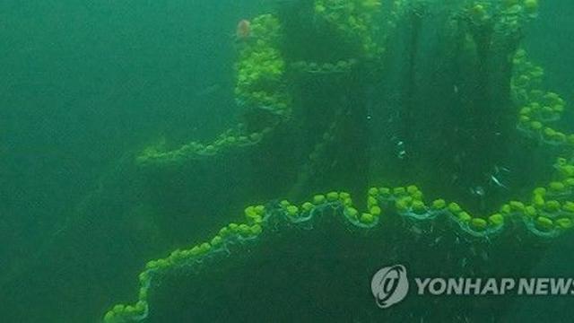 침몰 금성호 1.2㎞ 그물이 최대 난관…심해잠수사 투입 조율