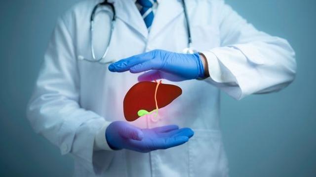 아무것도 안 했는데 몸에 멍이 들었다면…'침묵의 장기'가 보내는 5가지 경고 신호