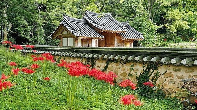 11월 단풍과 함께... 전남 핫플 명소 베스트 둘러보기