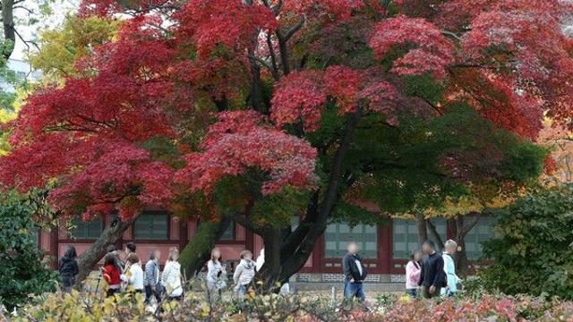 [오늘의 날씨] 수능 D-1···큰 일교차 주의