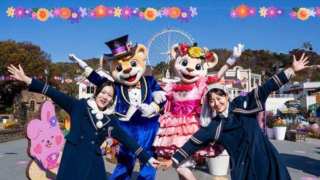 “수능 끝! 에버랜드·롯데월드·서울랜드 수험생 할인 가격과 혜택 안내”