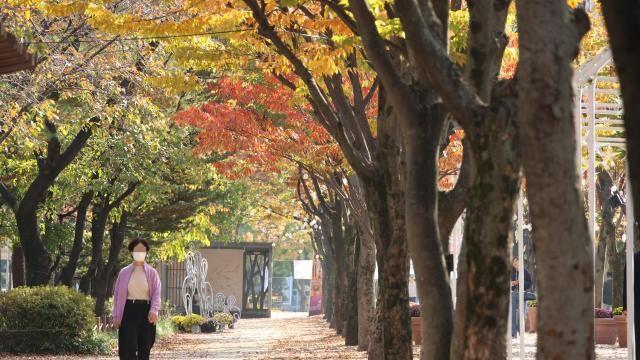 [내일날씨] 아침까지 곳곳 가을비…낮 기온 21도 포근한 날씨
