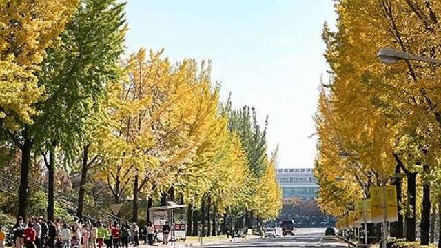 금요일도 곳곳에 비…평년보다 3∼8도 높은 포근한 날씨