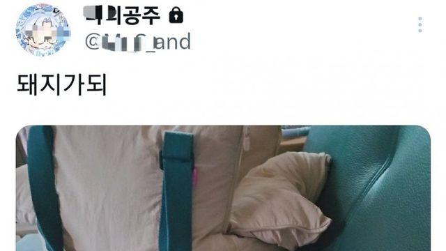 트위터녀 팔인증을 보고 178cm 101kg 팔 인증 한다