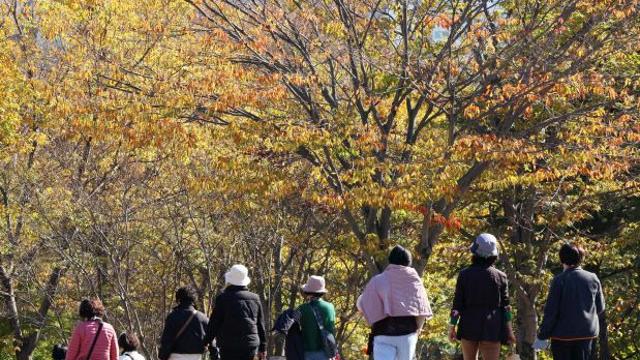 비 그치고 ‘포근한 날씨’…남부는 오전까지 비소식[내일날씨]