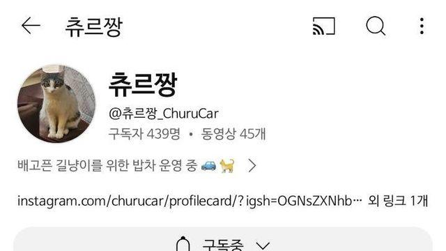 엉엉 울면서ㅠㅠㅜㅜㅠ 허겁지겁 사료먹는 길냥이ㅠㅠ 마음박박 찢김주의..