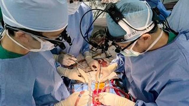 국내에서 약 20년만에 성인 환자에게 ROSS수술 시행 …대체판막 발전으로 중단
