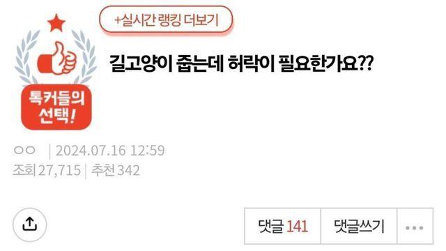길고냥이 키우려면 허락받으라는 캣맘.