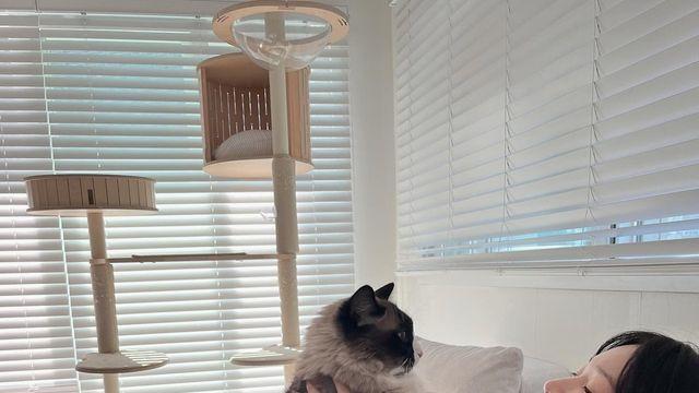 오혜원, 캐주얼 홈웨어 입고 햇살 아래 반려묘와 함께한 소소한 힐링 타임