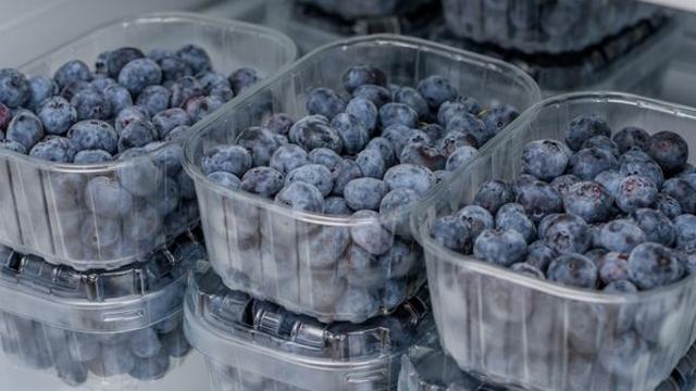 “6개월 이내에 먹어야” 올바른 '냉동 블루베리' 보관법… 칼로리는?