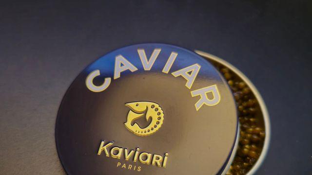 개붕이 캐비어 먹어봤다!?