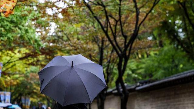 [오늘의 날씨] 전국 흐리고 오전까지 가을비···낮 기온 20도 내외