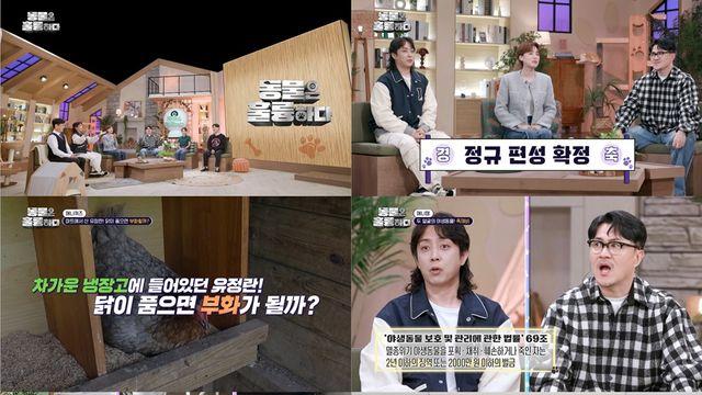 “완전 학대” 은지원, 보라색 염색 고양이 사연에 분노 (동물은 훌륭하다)