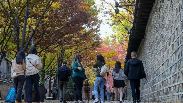 [내일 날씨] 수도권 5~10㎜ 가을비… 미세먼지는 '좋음'