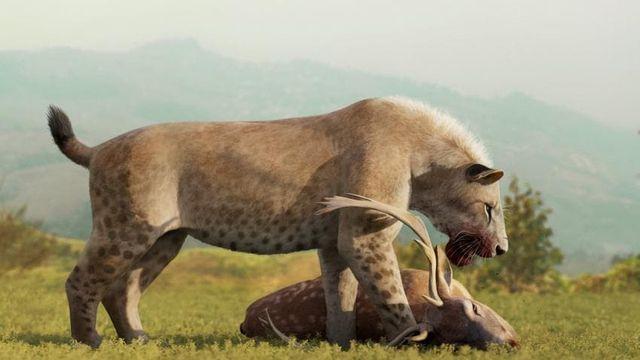 검치호의 미라가 최초로 발견되다