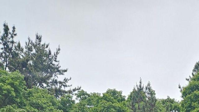 부산의 세금 낭비.