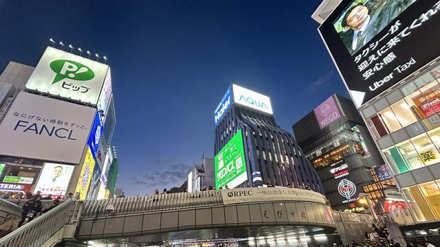 삐끼 아줌마가 인생조언해주심.