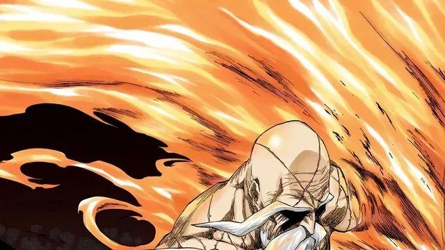 블리치 애니화로 인한 밸런스 피해자 중 1명:)