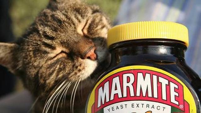 영국 악마의 잼 마마이트.jpg,,