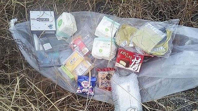 김여정, 대북 전단에 반발…