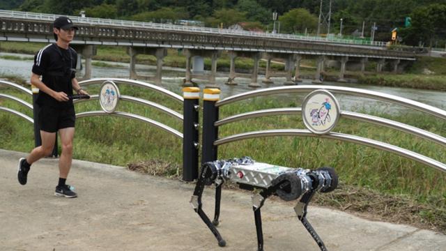 카이스트 개발 '로봇 개', 세계 최초 마라톤 풀코스 완주…1회 충전으로 43km 보행