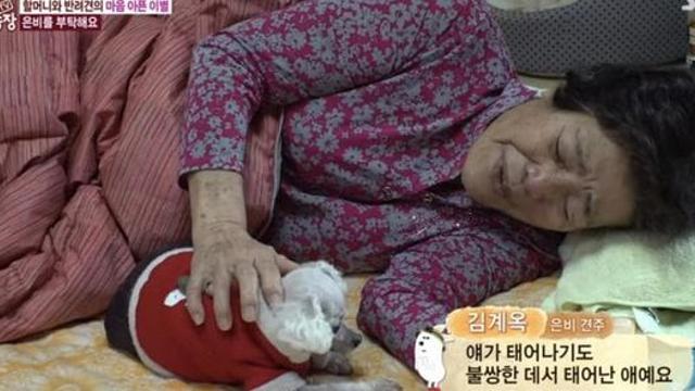 훌쩍훌쩍 서로를 위해 헤어지는 할머니와 은비