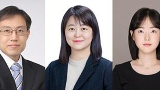 줄기세포 기능 강화 및 뼈 재생 가능한 나노입자 개발…골 생성 분화와 뼈 재생 촉진