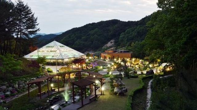양구수목원, 사철 힐링 명소 주목…올해 방문객 5만명 넘어설 듯
