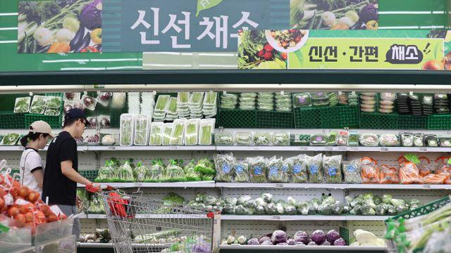 유가·환율 올랐지만 배추값 '뚝'…생산자물가 석달째 하락