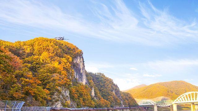 바스락 바스락!  늦가을 즐기기 좋은 '단양 낙엽길'
