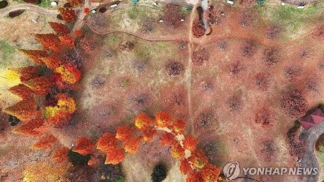 [날씨] 오늘 전국 흐리고 곳곳 비…수도권 미세먼지 '나쁨'