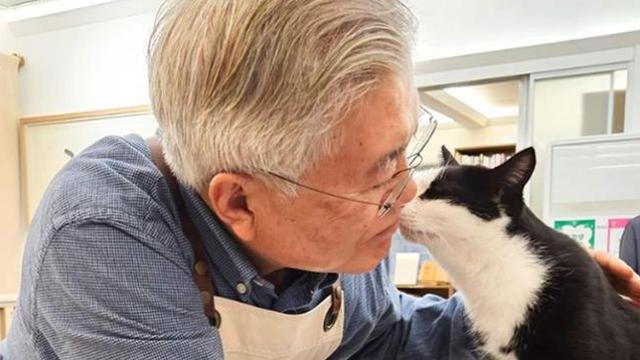 이재명 유죄 판결 속 문재인 전 대통령의 '고양이 일상' 공개... 부적절 지적 나와