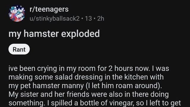 내 햄스터가 폭발했다..jpg