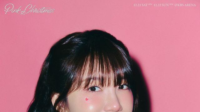 에이핑크, 12월 콘서트 5色 티저 공개