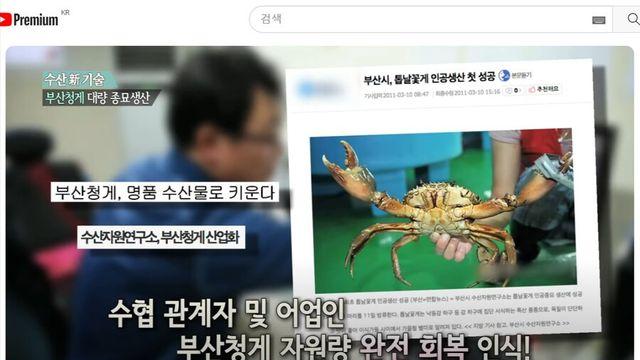 한때 대한민국을 떠들석 하게 했던 외래종 근황.JPG..