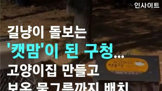 거대 캣맘이 된 서초구청과 서초구 캣맘들의 만행