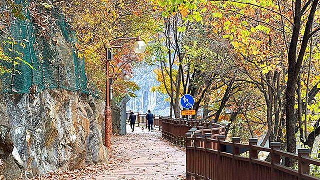 늦가을 만끽 가능... 충북 단양군이 소개한 단풍 '명당'