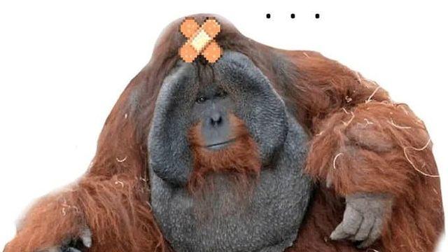 스압) 오늘 던페 업뎃발표 요약...jpg
