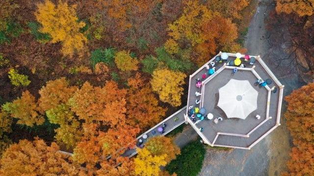 내일날씨, 서울아침 2도 