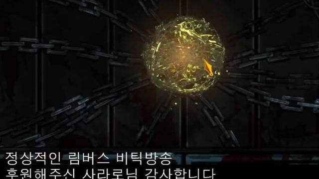 월요일날 로제타 수녀님 만나는 숲속 수달 근황..