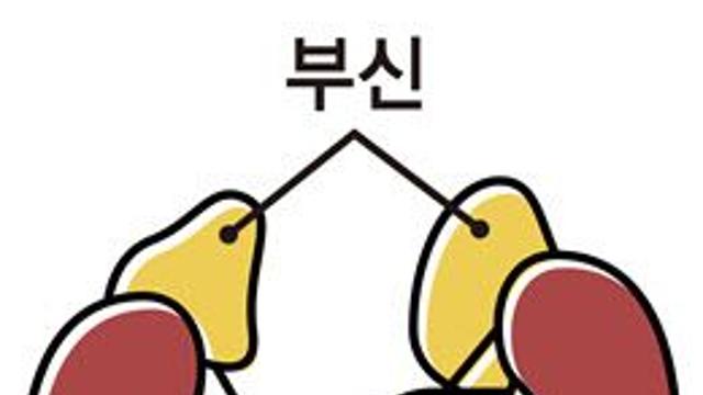 부신피질호르몬 모자라도, 과해도 병