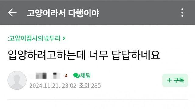 ㄱㄷ) 4번째 입양거절당하고 현타온 횐님_입양 현실