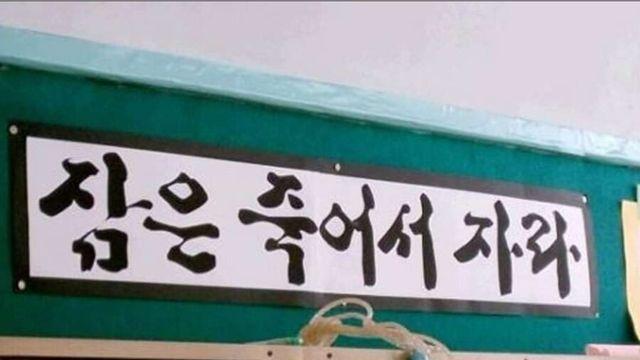 잠을 충분히 자야 건강하다는 말이 사실 아이러니한 이유..