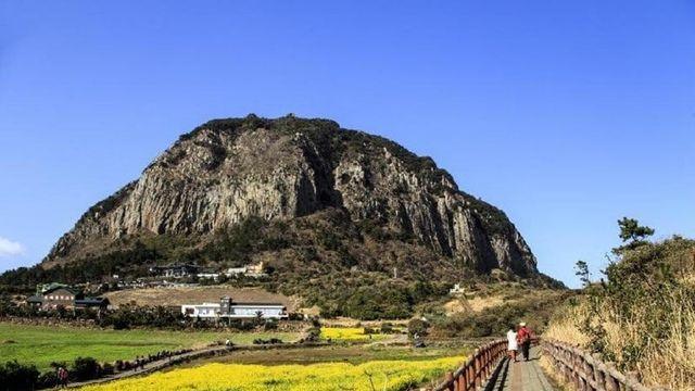 작년에 제주도 바위산에서 구조됐던 관광객 근황..