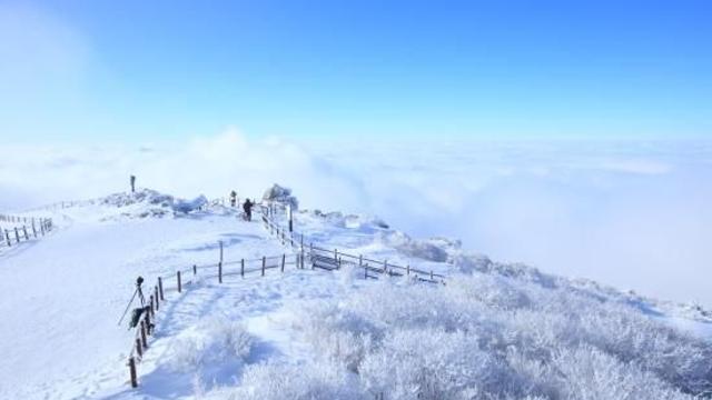 한국의 겨울, 독특한 매력을 자랑하는 여행지 5곳