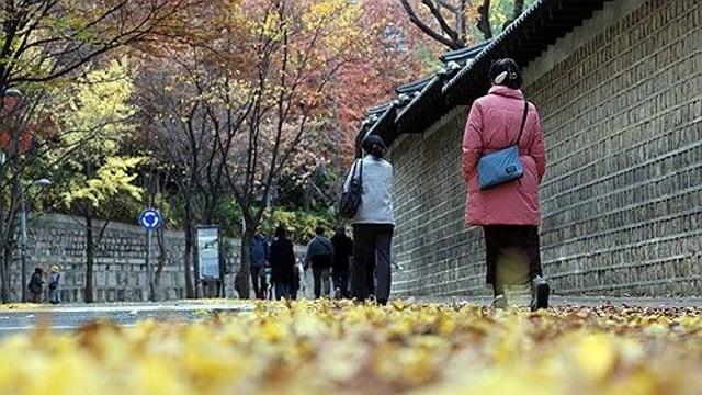 [내일날씨] 일교차 15도 안팎…밤부터 서해안·전남·제주 비