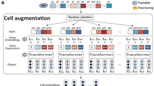 GIST, 단일세포 분석 新패러다임···“AI로 RNA 시퀀싱 한계 극복”